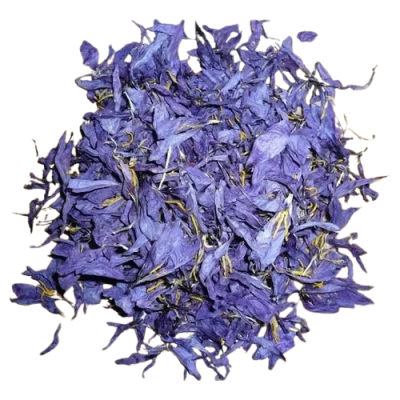 Saffron Flower Petals